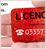 Licence999 website detail